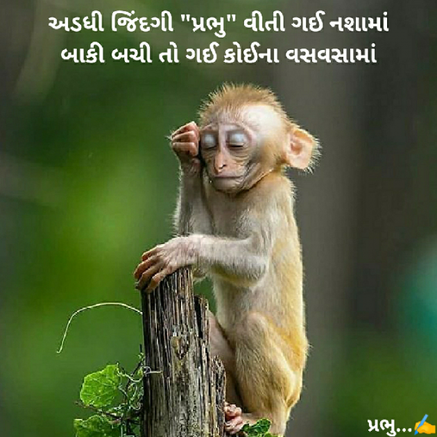 Gujarati Blog by પ્રભુ : 111383410
