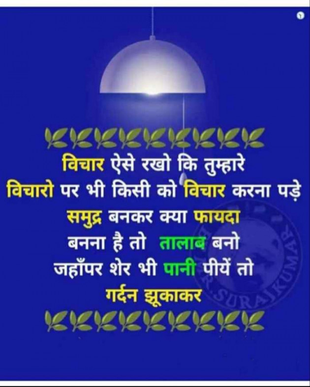 Hindi Blog by Chandrakant soni : 111383850