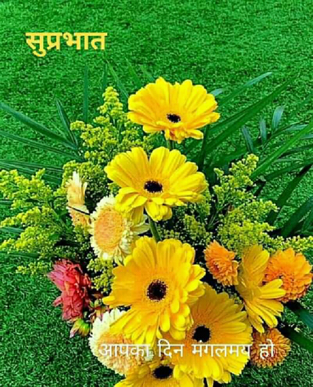 Gujarati Poem by મોહનભાઈ આનંદ : 111384160