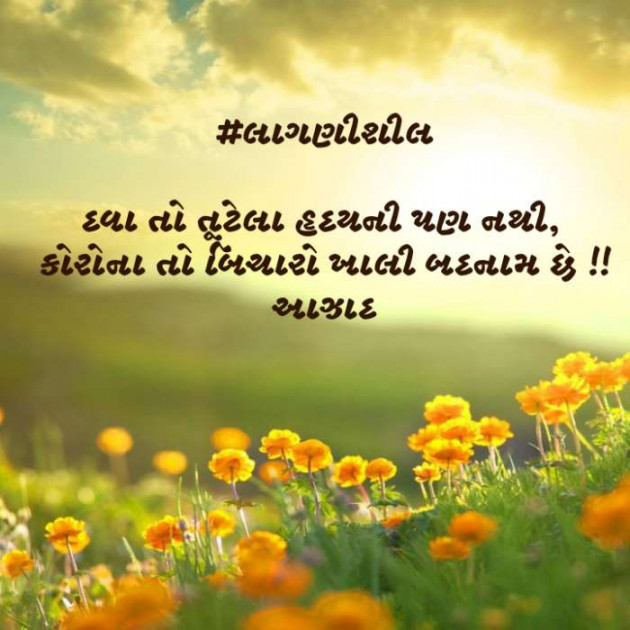 Gujarati Blog by संजय कुमार दवे : 111384856