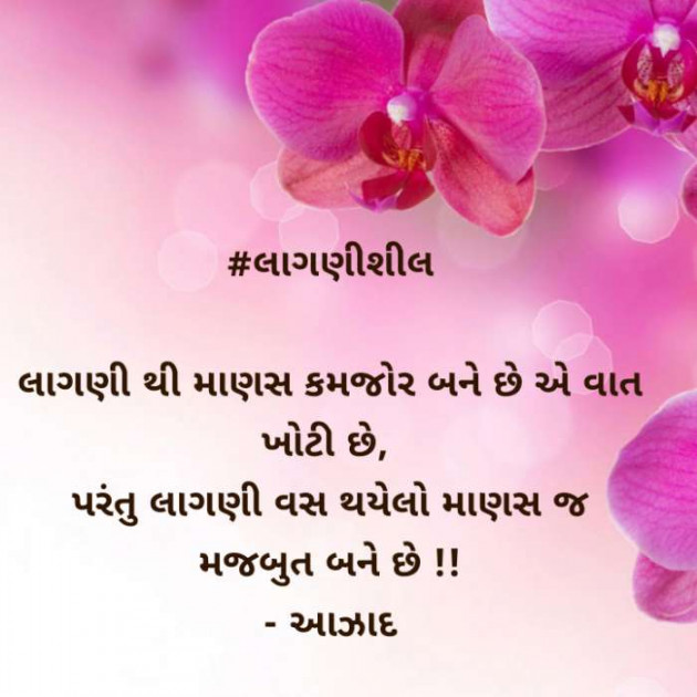 Gujarati Blog by संजय कुमार दवे : 111384860