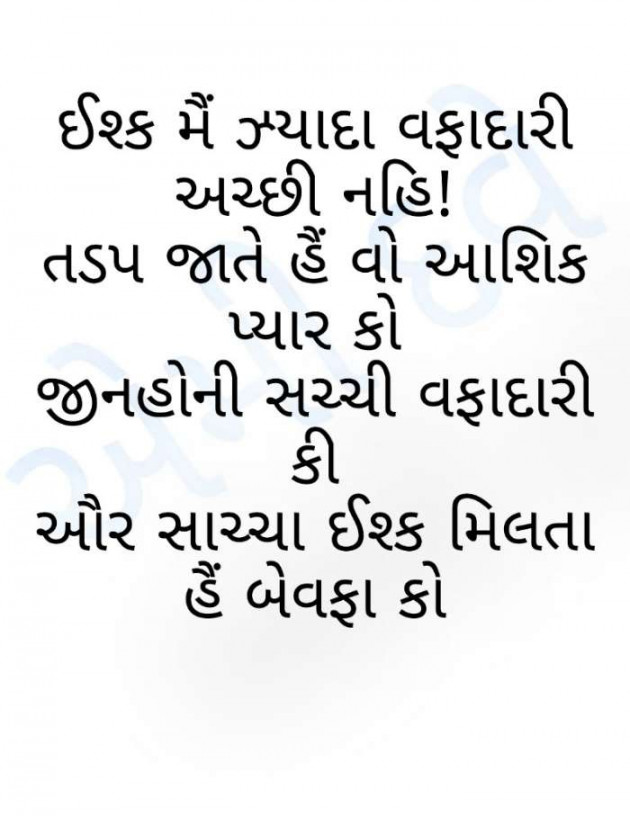 English Shayri by Ammy Dave : 111385080