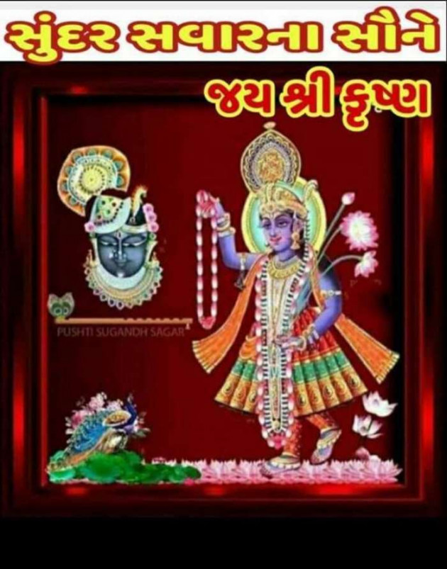 Gujarati Religious by Chandrakant soni : 111385119
