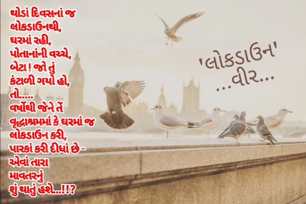 Gujarati Thought by Bipin Agravat : 111385611