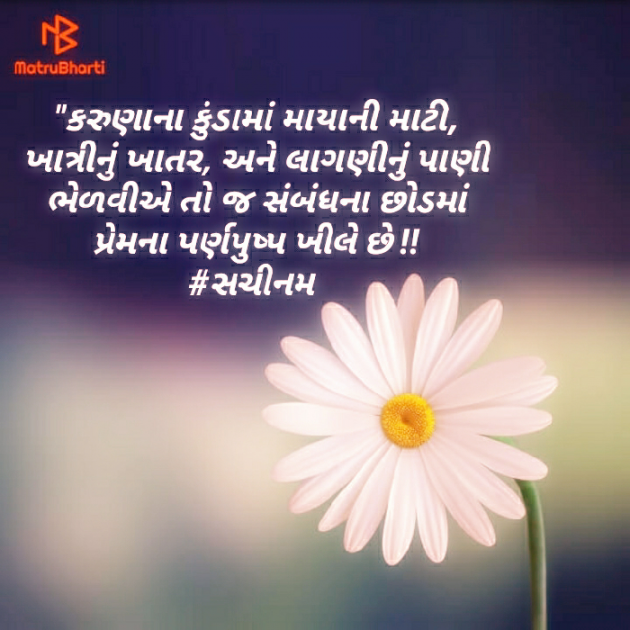 Gujarati Thought by Sachinam786 : 111385806