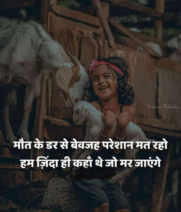 Hindi Thought by परेश मेहता : 111386067
