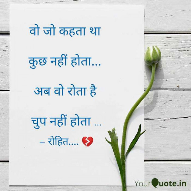 English Shayri by A My Quotes 2 .. : 111386606