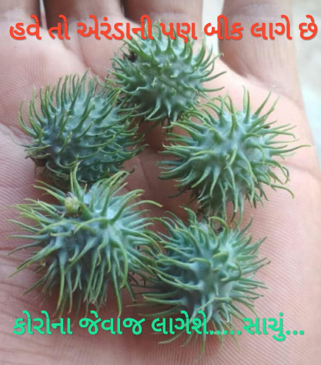 Hindi Thought by Anil Mistry https://www.youtube.com/c/BHRAMGYAN : 111386634