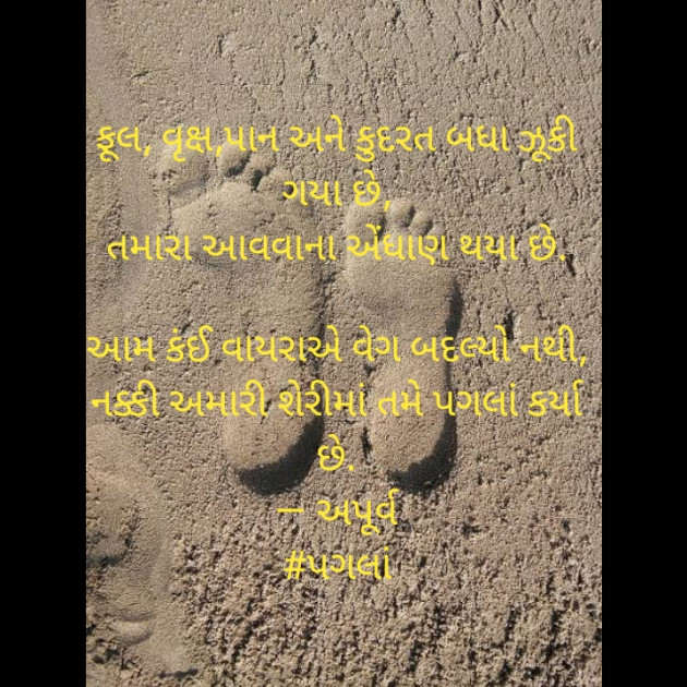 Gujarati Shayri by Apurva Oza : 111387320