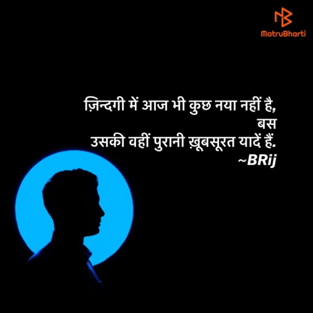 Hindi Blog by Brijesh Shukla : 111388099