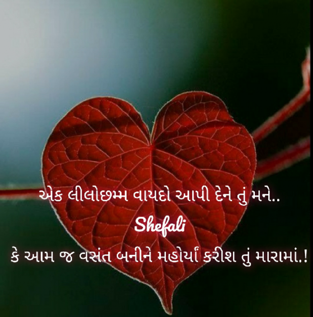 Gujarati Whatsapp-Status by Shefali : 111388200