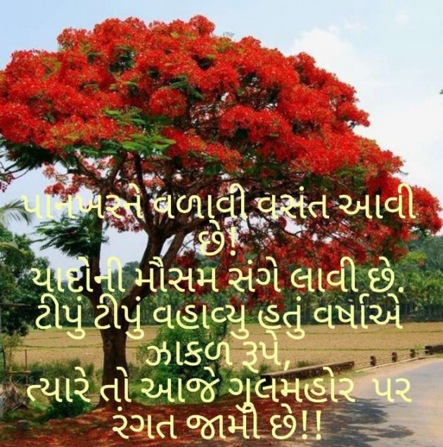 Gujarati Whatsapp-Status by jagruti rathod : 111388595