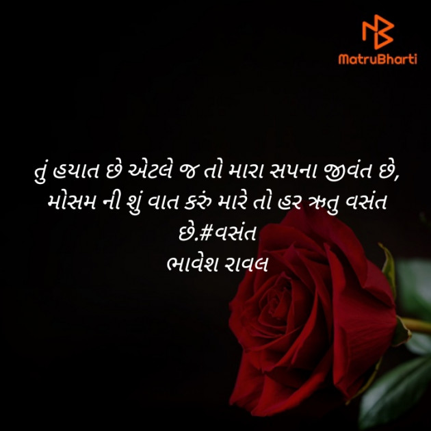 Gujarati Blog by Writer Bhavesh Rawal : 111388594