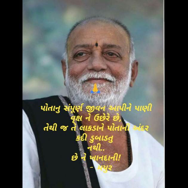 Gujarati Quotes by Mayur Jethava : 111388733