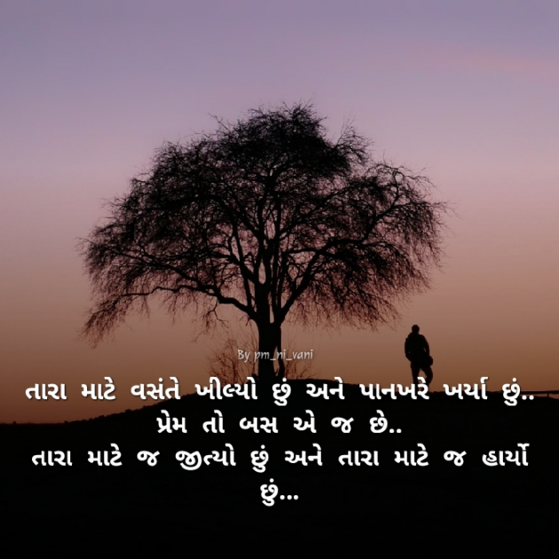 Gujarati Shayri by Parth Dhameliya : 111388786