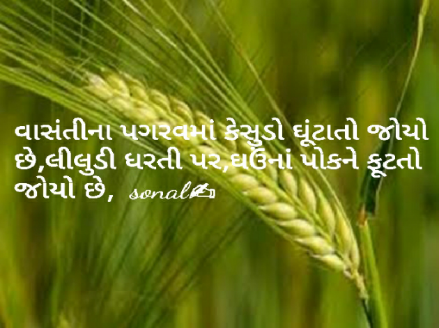 Gujarati Blog by Sonalpatadia darpan : 111388865