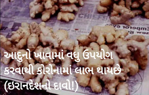 Gujarati News by Harshad Patel : 111389421