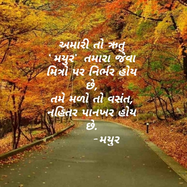 Gujarati Shayri by Mayur Jethava : 111389982