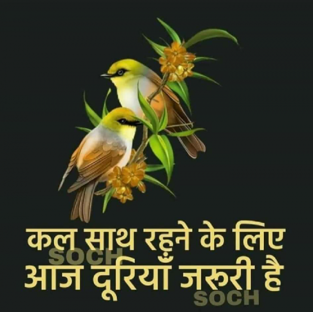 Hindi Poem by Anju : 111390220
