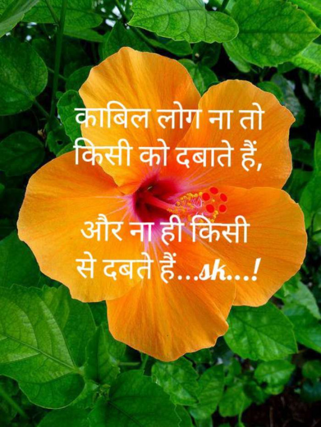 Hindi Thought by Sunil Kumar : 111390860