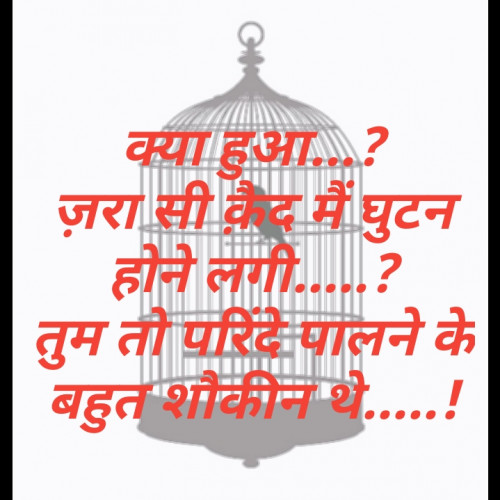 Post by Karan Goswami on 09-Apr-2020 11:11am