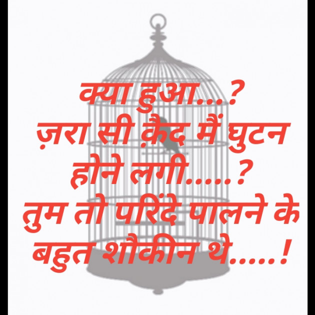 Hindi Shayri by Karan Goswami : 111391002