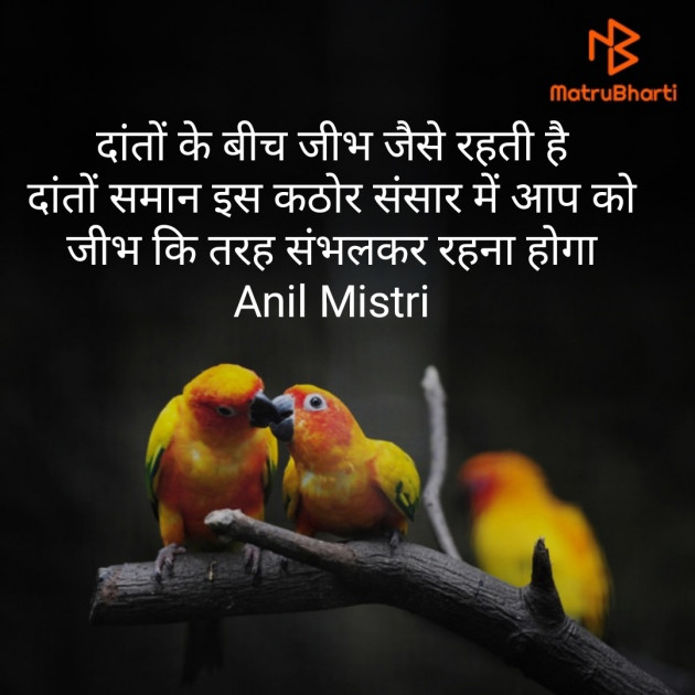 Hindi Thought by Anil Mistry https://www.youtube.com/c/BHRAMGYAN : 111392097