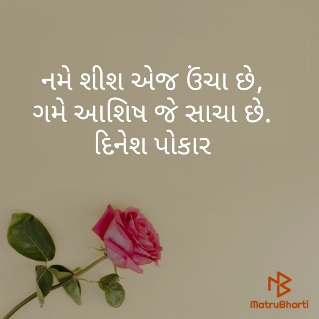 Gujarati Shayri by Dinesh Patel : 111392270