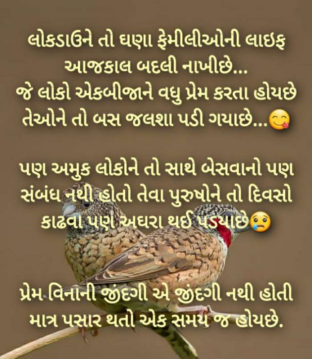 Gujarati Good Night by Harshad Patel : 111392749