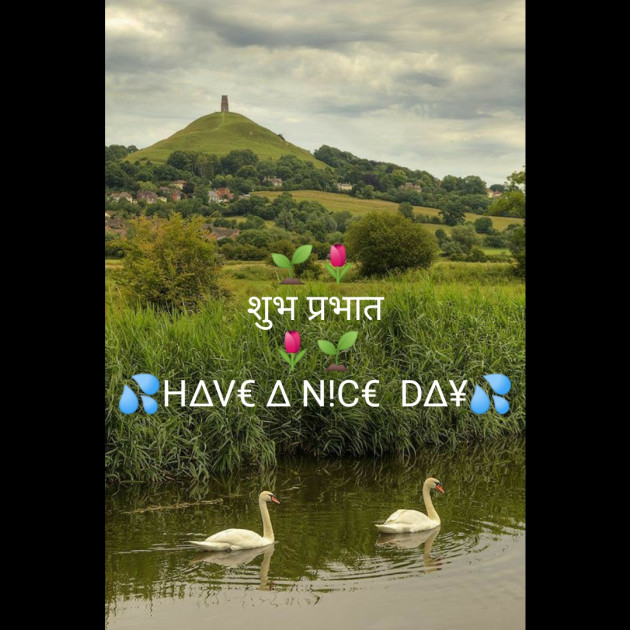 Hindi Good Morning by VIRENDER  VEER  MEHTA : 111393116