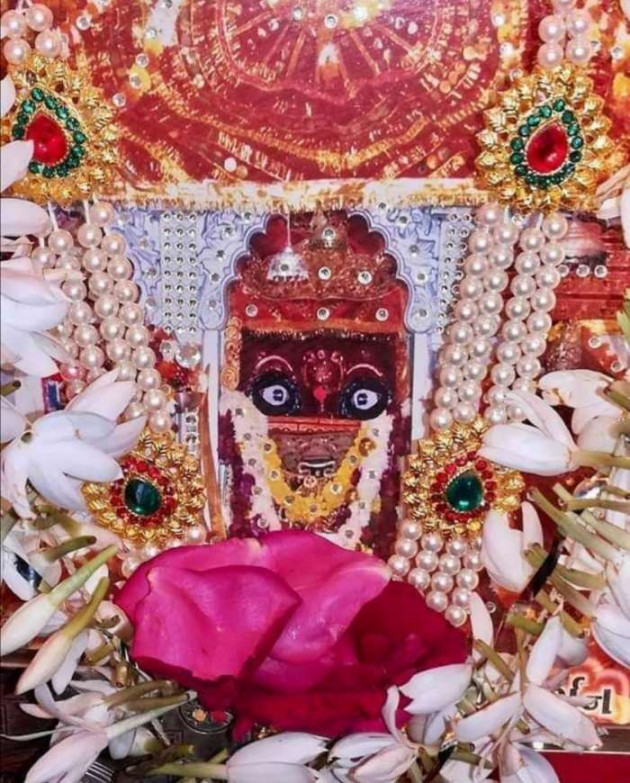 Gujarati Religious by Mahesh Dhapa : 111393925