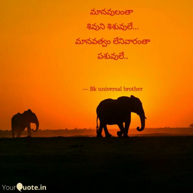 Telugu Whatsapp-Status by Bk swan and lotus translators : 111394012