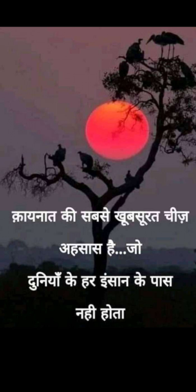 Hindi Thought by Heema Joshi : 111394245