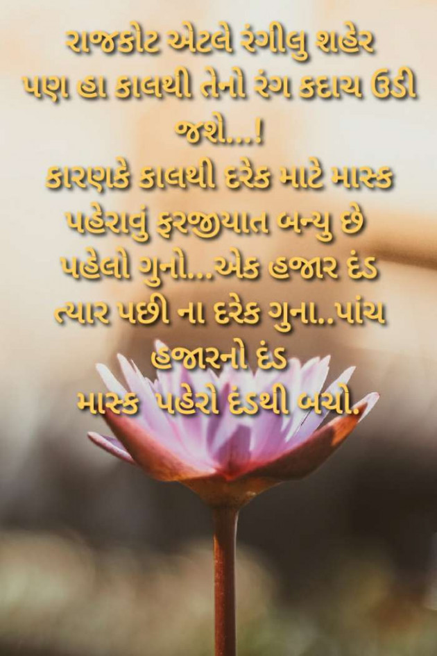 Gujarati News by Harshad Patel : 111395094