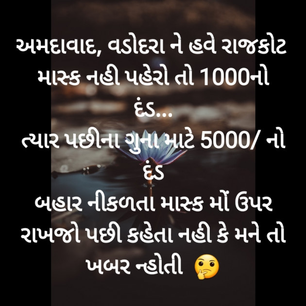 Gujarati News by Harshad Patel : 111395271