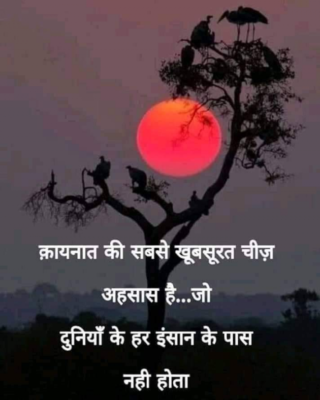 Hindi Good Morning by परेश मेहता : 111395483