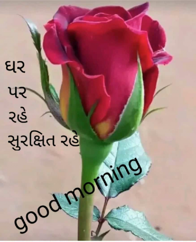 Gujarati Poem by મોહનભાઈ આનંદ : 111396077