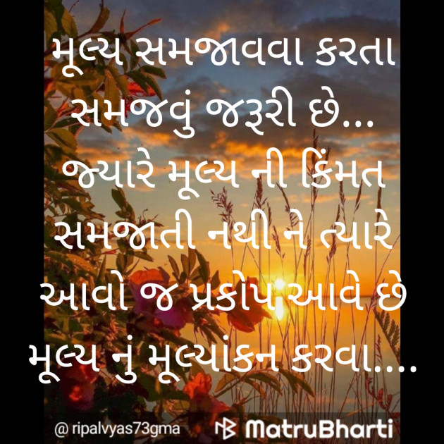 Gujarati Good Evening by Shree...Ripal Vyas : 111396276