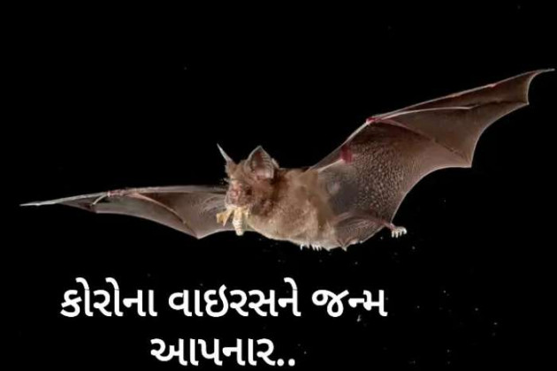 Gujarati Good Night by Harshad Patel : 111396516