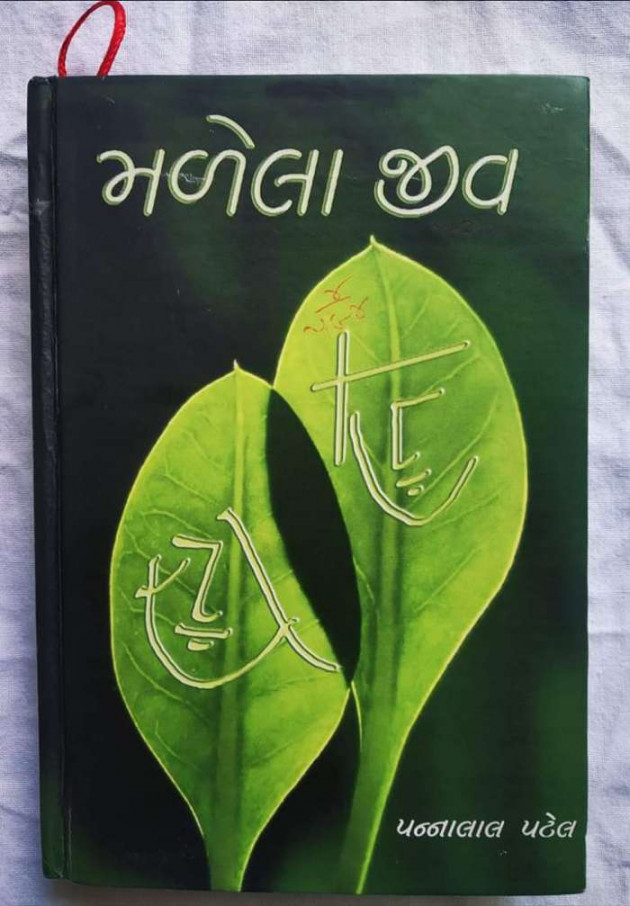 Gujarati Book-Review by Ashq Reshammiya : 111397447