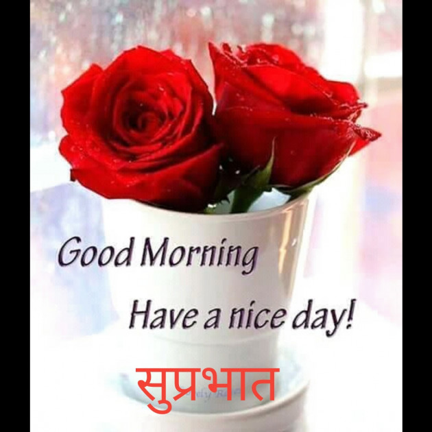 Hindi Good Morning by shailendra Singh : 111398086