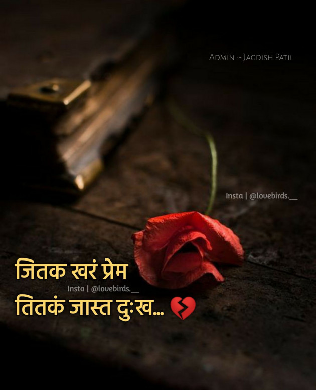 Marathi Romance by Chetna : 111398410