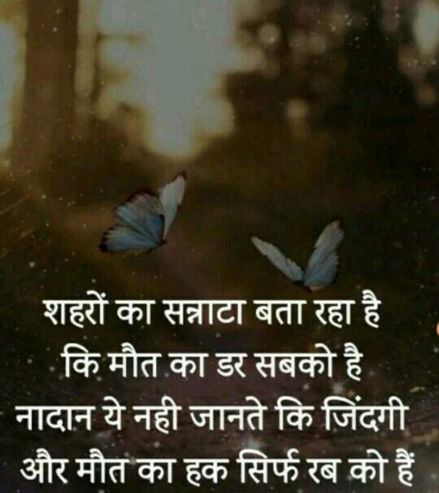 Hindi Whatsapp-Status by Jassi Albert : 111398641