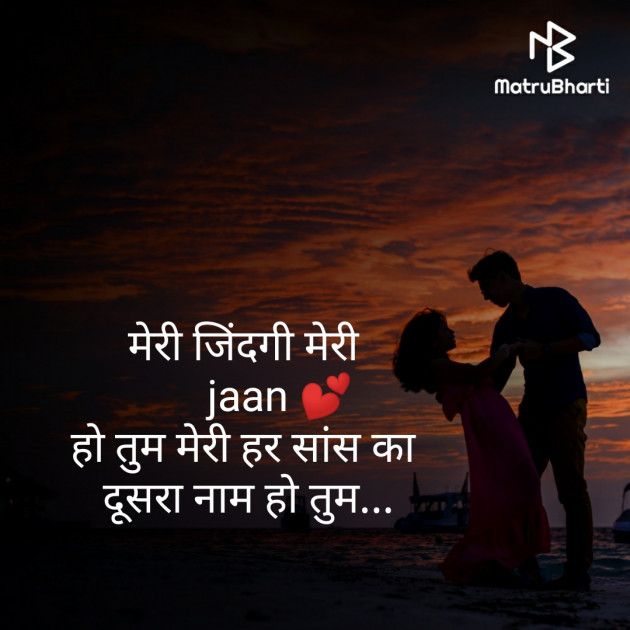 Hindi Blog by Bhargav Goswami : 111398888