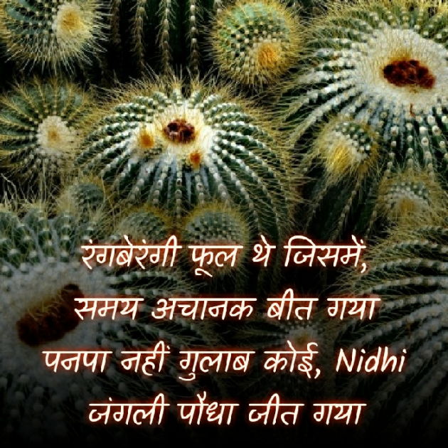 Hindi Blog by Nidhi_Nanhi_Kalam_ : 111399126