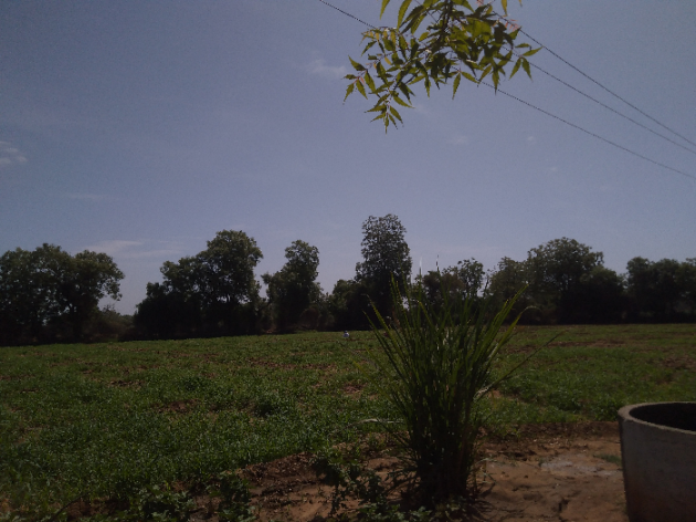 Hindi Blog by some pain : 111399221
