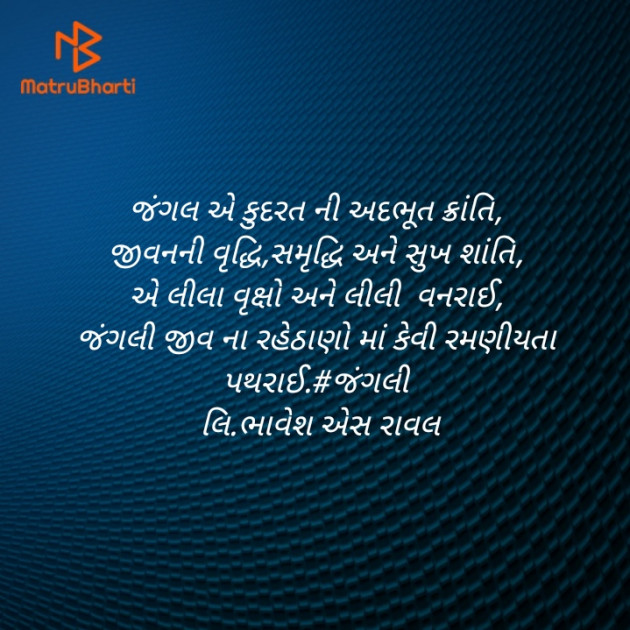 Gujarati Blog by Writer Bhavesh Rawal : 111399596
