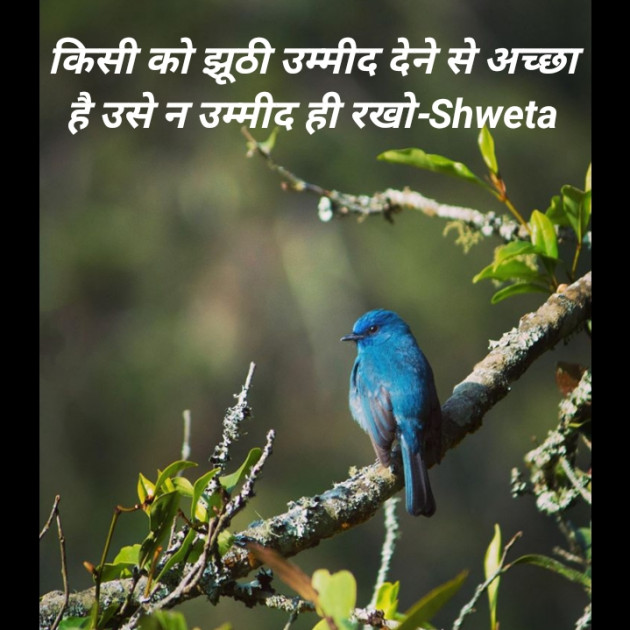 Hindi Blog by Shweta Singh : 111399633
