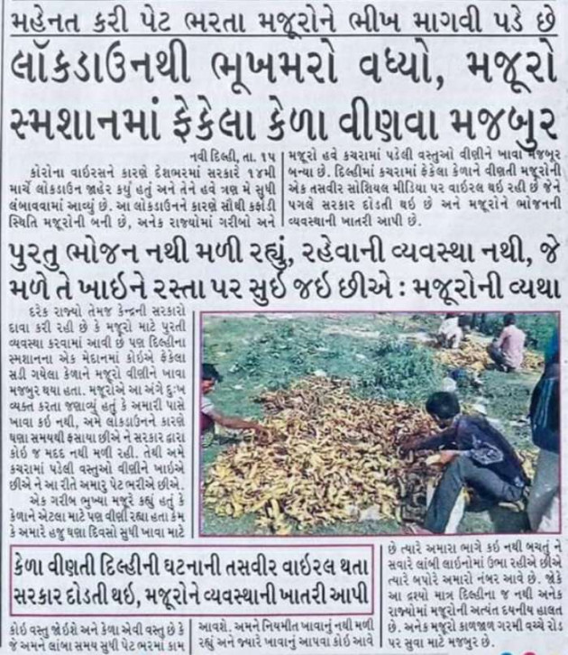 Gujarati News by Harshad Patel : 111399701