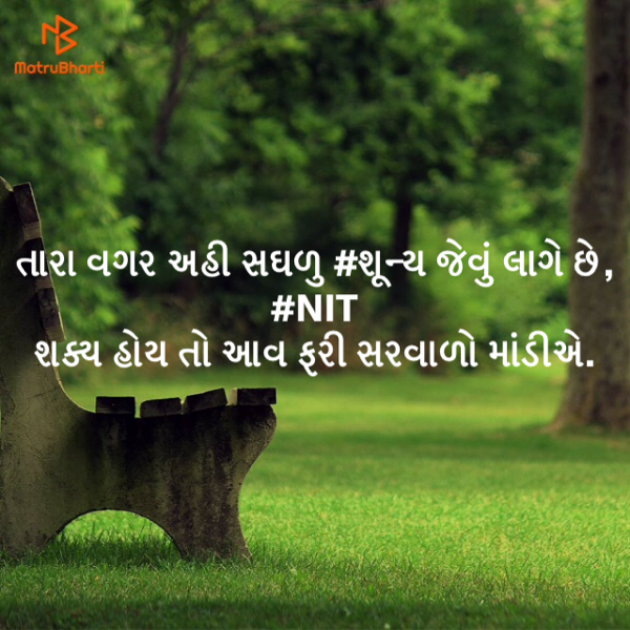 Gujarati Romance by NITIN BUTANI : 111401845